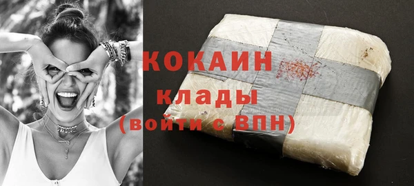 индика Струнино