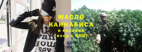индика Струнино