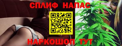 прущие грибы Беслан