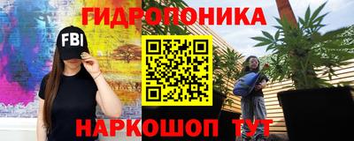 прущие грибы Беслан