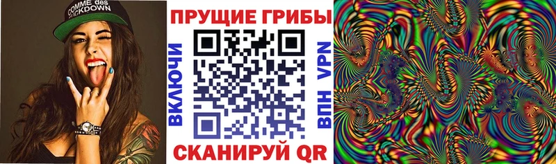 цены   Алапаевск  Галлюциногенные грибы прущие грибы 