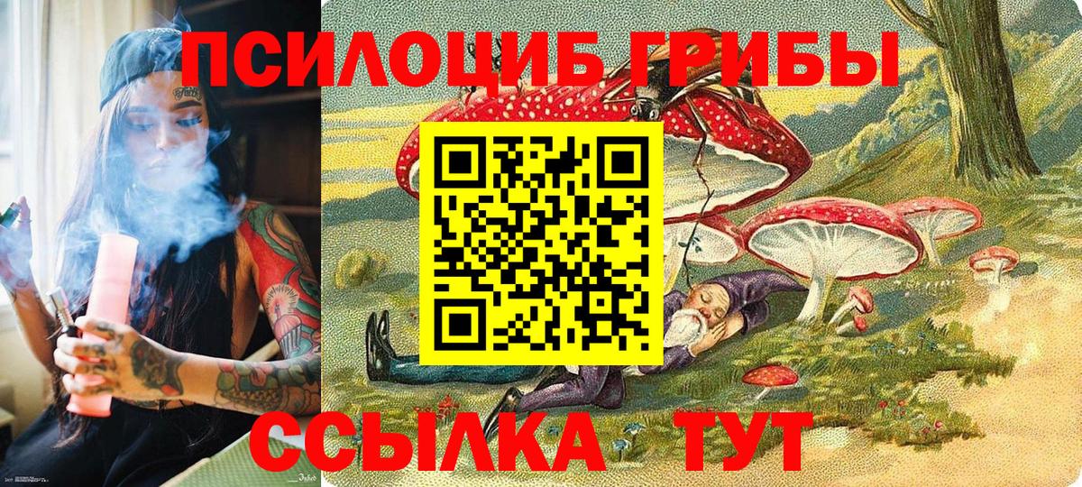 Галлюциногенные грибы Psilocybe Алапаевск