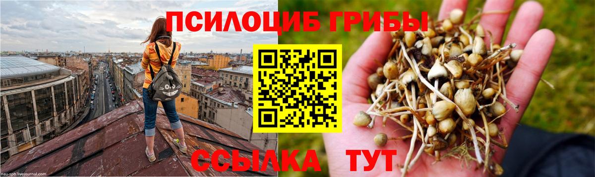 МДМА  Альфа-ПВП  Где найти наркотики?  МАРИХУАНА  Меф  Мефедрон  Кокаин  Хэш  Алапаевск  Ляпка  Вход с VPN 