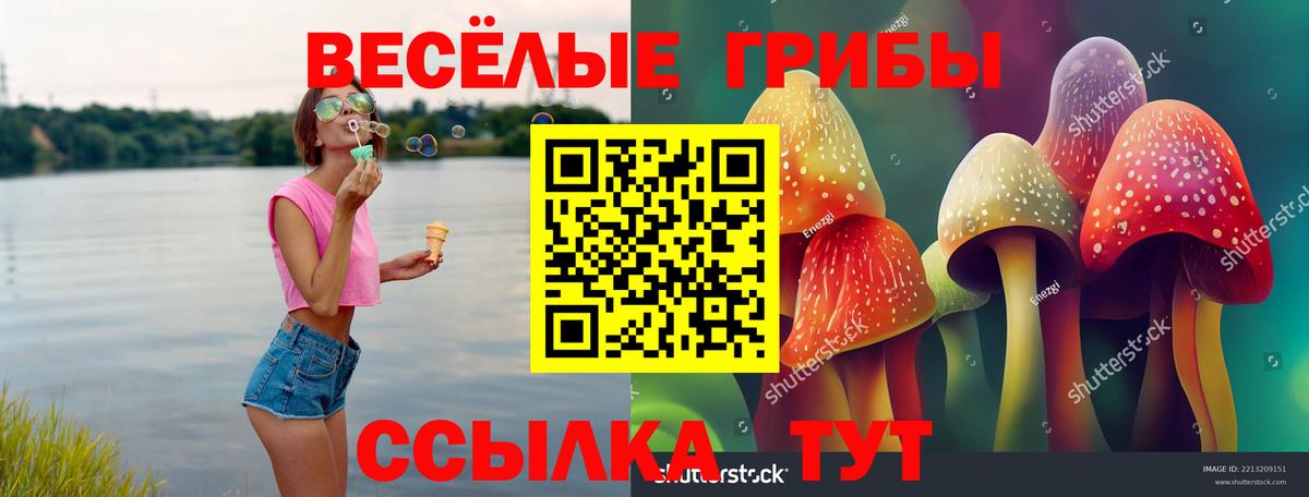 Галлюциногенные грибы Magic Shrooms  Вход с VPN  что такое наркотик  Алапаевск 